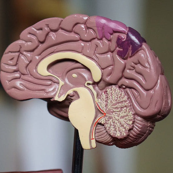 What is Natural Neurological Treatments