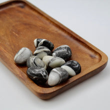 Load image into Gallery viewer, Shell Jasper
