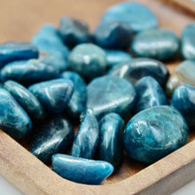 Load image into Gallery viewer, Apatite Blue
